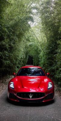 GTheromobile