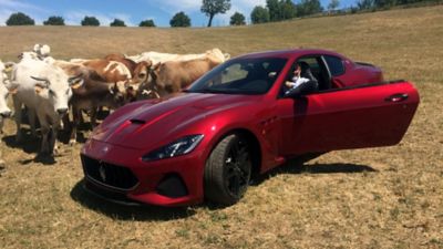 Meat and Maseratis: Cooking slow food with fast cars