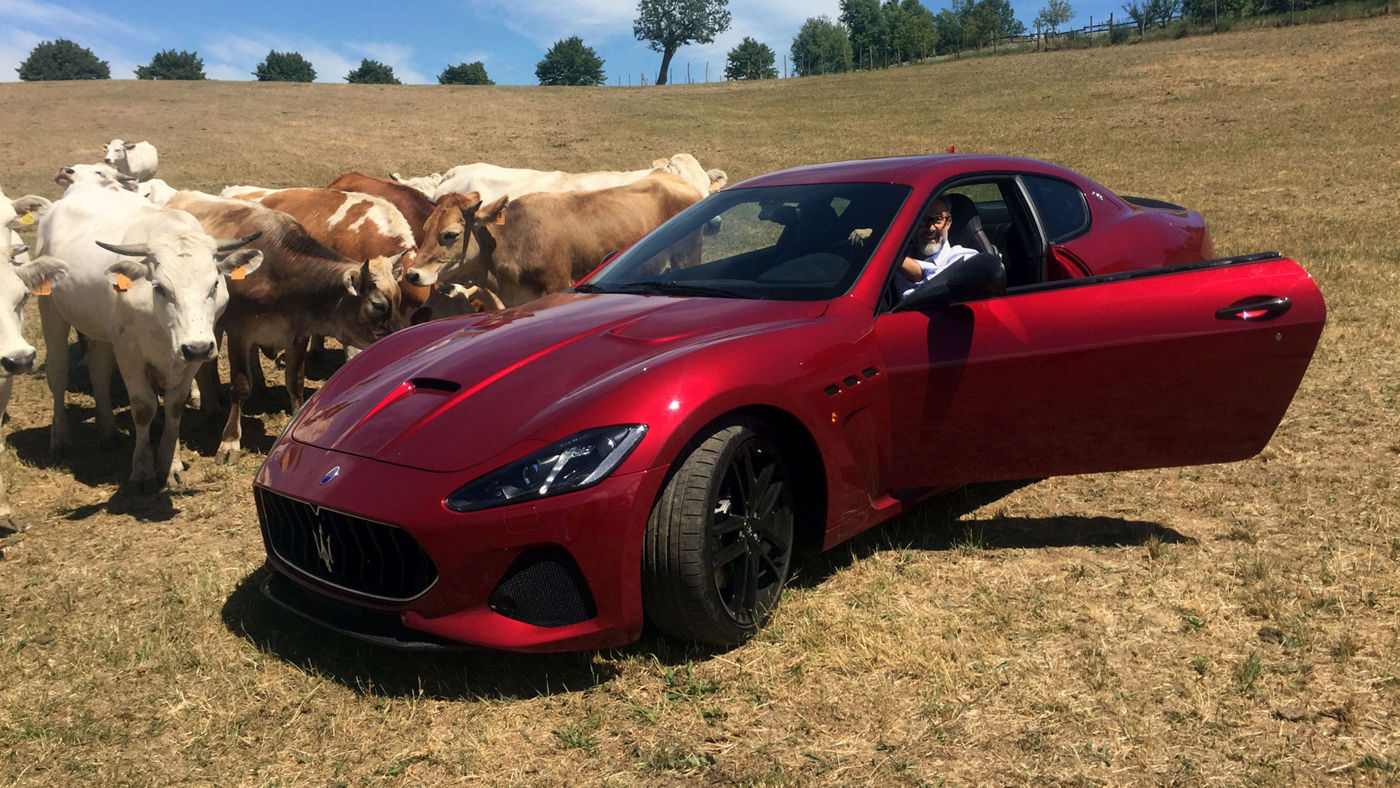 Red GranTurismo in a field with cows