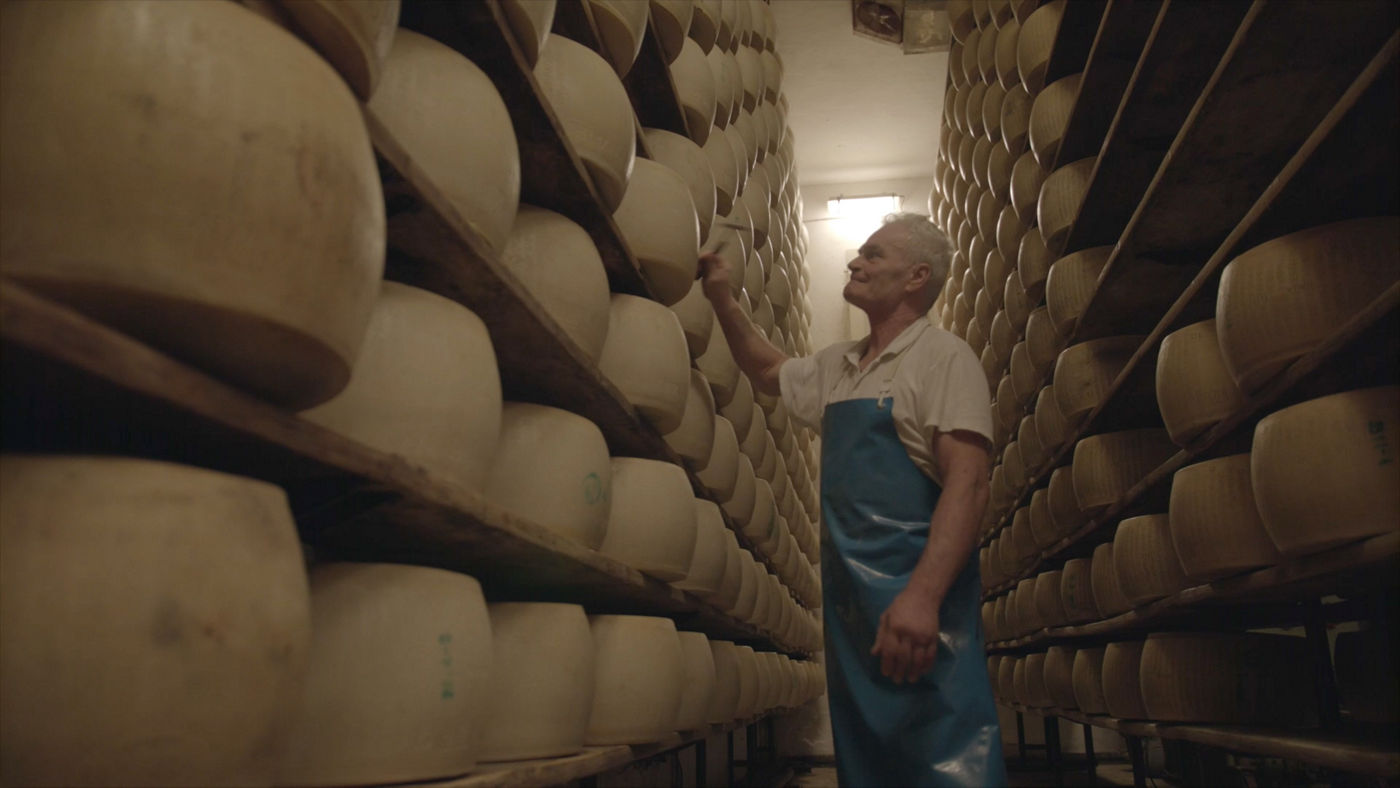 Cheesemaker in between shapes of cheese