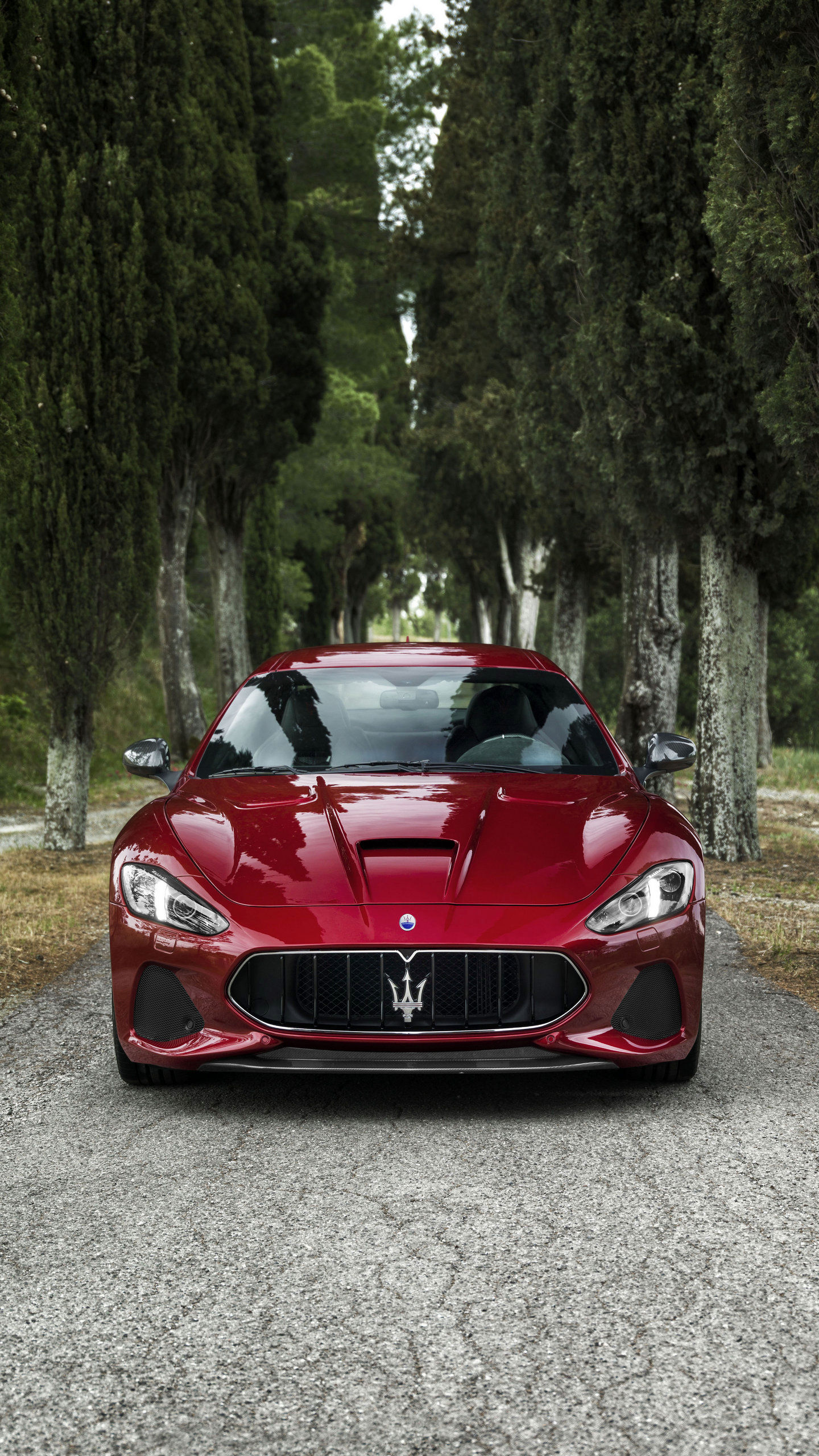 Front view of Red GranTurismo inside woods
