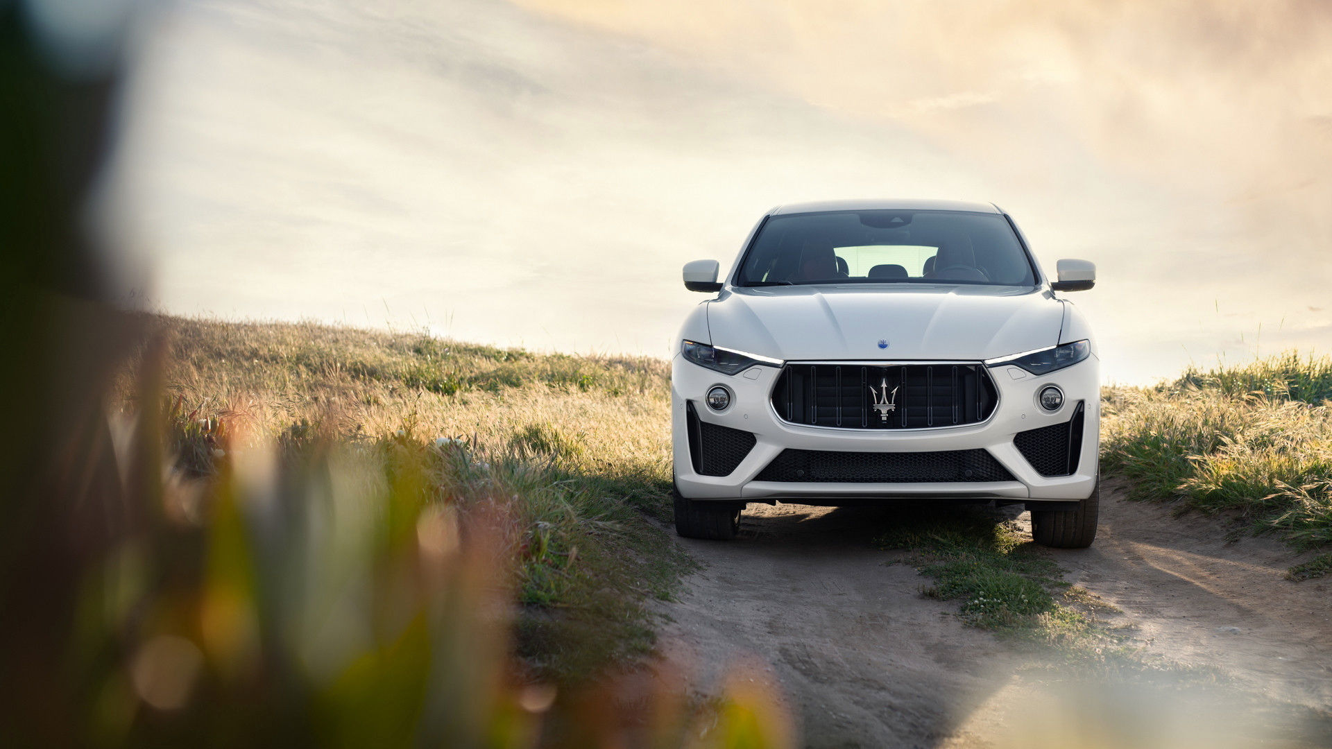 Front view of white Maserati Levante on a road in the middle of a field