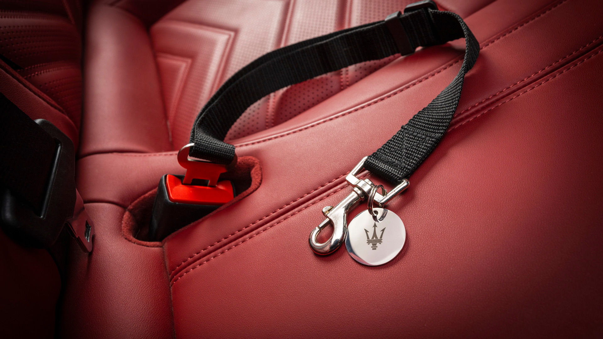 Pet safety belt with tag 1