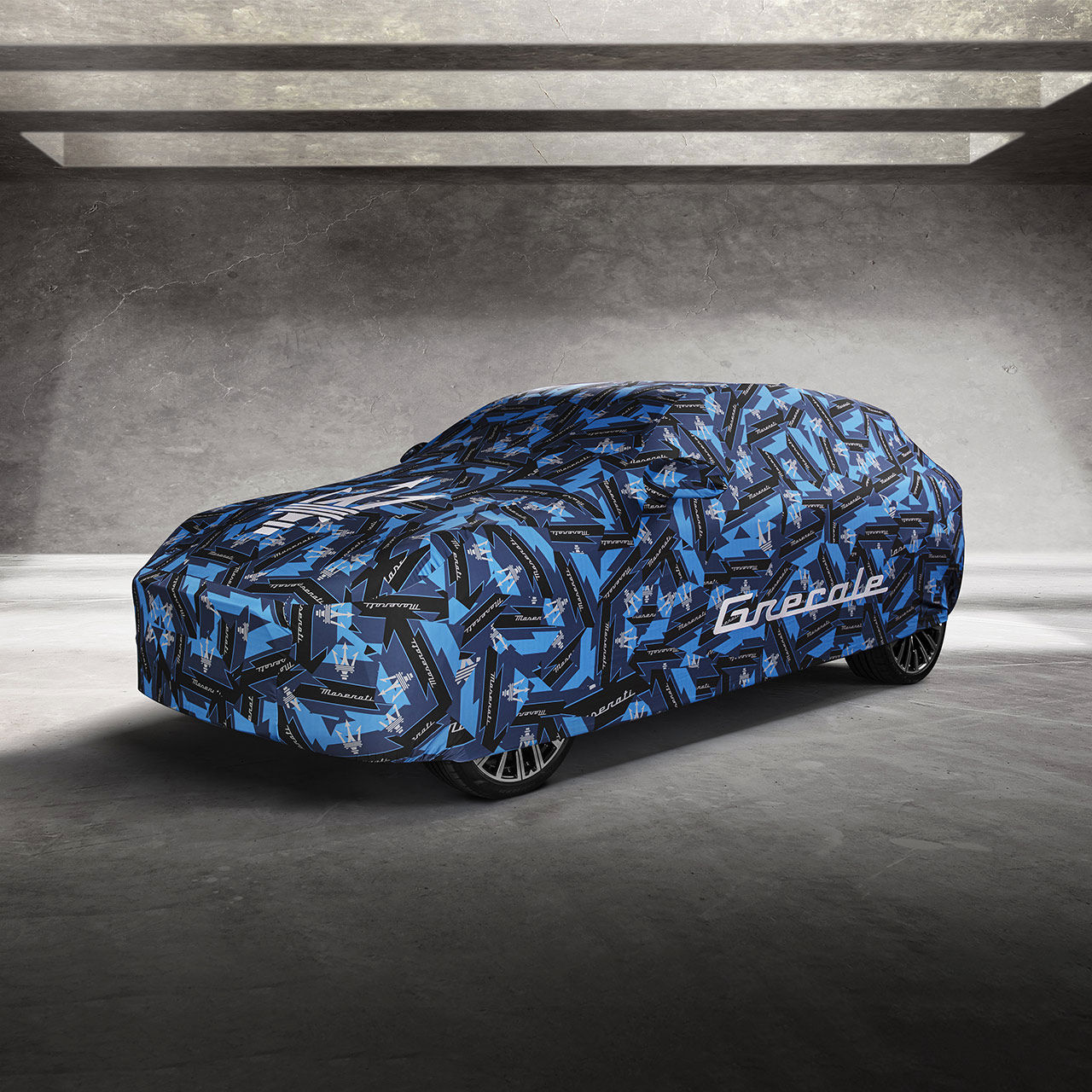 Indoor-Car-Cover_ICE_2