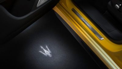 courtesy-lights-with-logo-yellow-trident